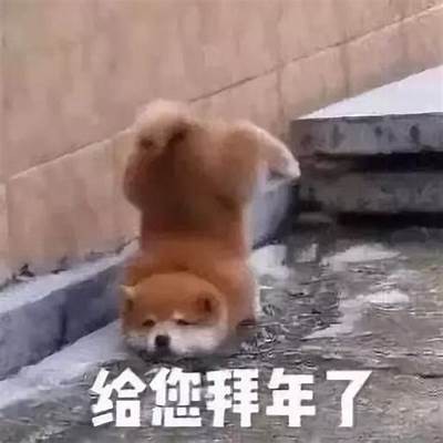 探索女成人玩具的无限乐趣：伸缩APP全解析与使用指南