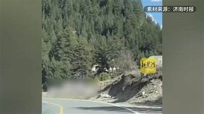 国产车翻滚坠落事故引发关注，安全困难需重视！