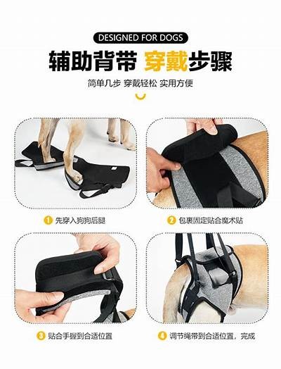 二狗背带使用教程：轻松掌握国产背法视频指南