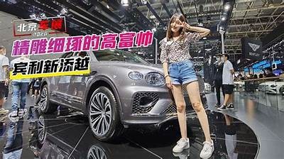 国产豪车加油全过程视频：奢华体验与驾驶乐趣并存