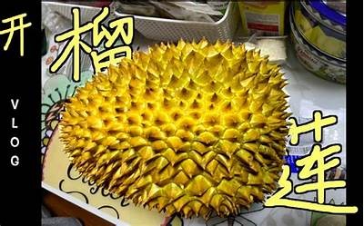 您可以考虑使用以下标题：

成人榴莲APP软件：探索多元化的成人内容与社交体验