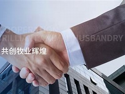 2023最新国产三级视频合集，畅享成人影视精彩瞬间