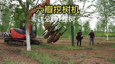 高效国产挖树机视频展示：园艺植树新手必看技巧与操作指南