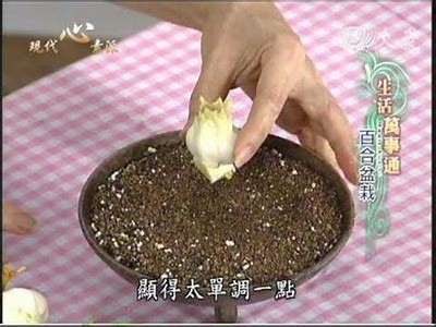 如何提高铚滄娌崇矇锅氭硶瑙嗛的实用技巧与注意事项