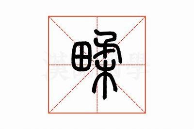 「铚滄瑙嗛」适用解析：如何提升网站流量与百度收录排名技巧分享
