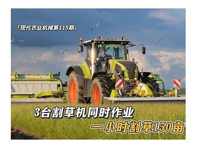 国产伐树收割机实操视频：高效林业机械工作演示与技巧介绍